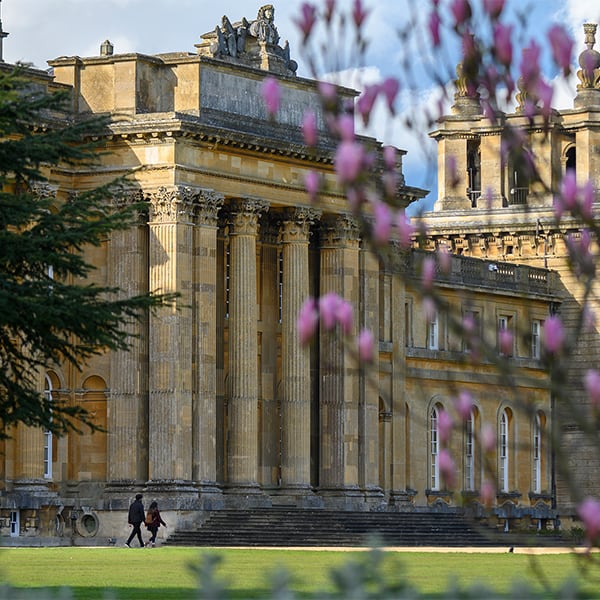 Blenheim 600 x 600 2